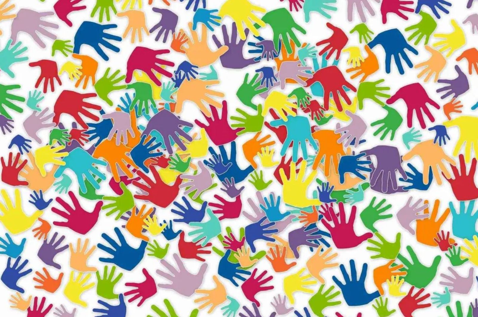 Día del Voluntariado