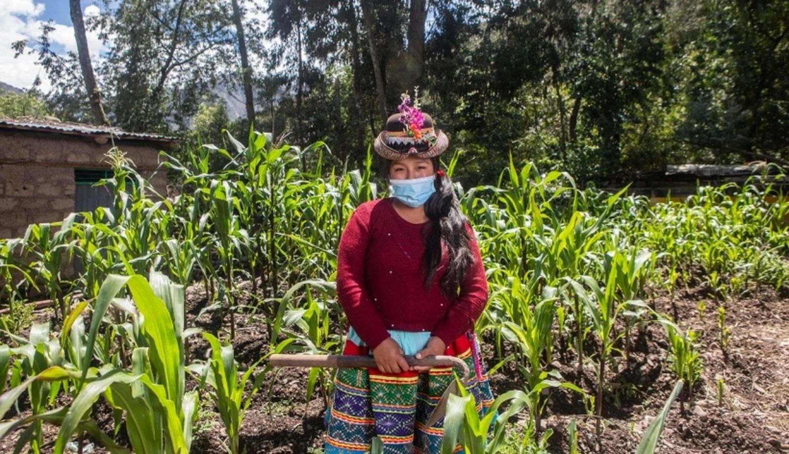 Comunidad chuschi. Taller de huerto