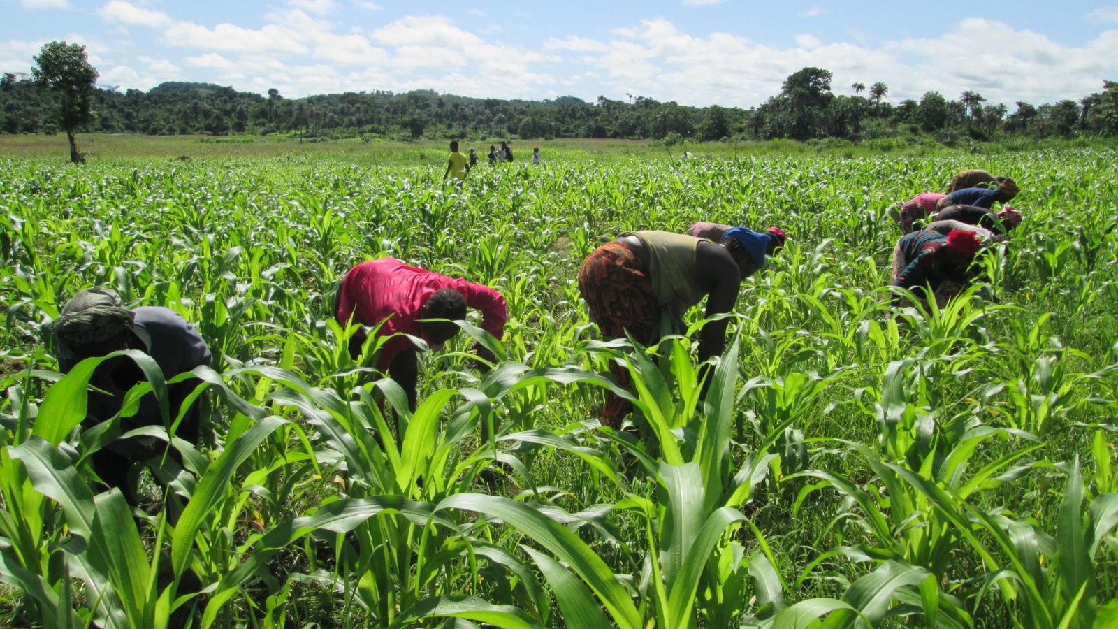 Manos Unidas en Camboya