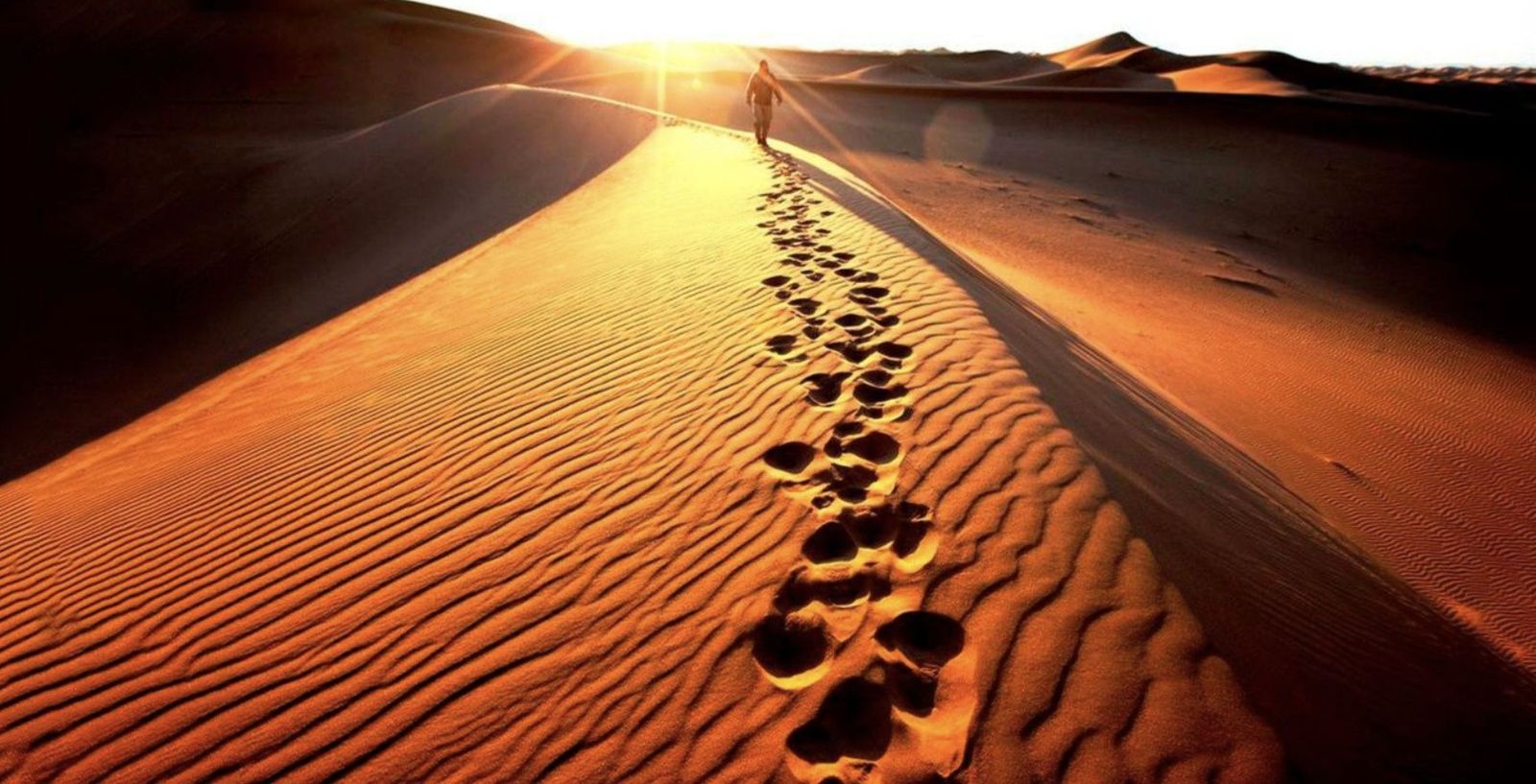 La Cuaresma de la desconexión