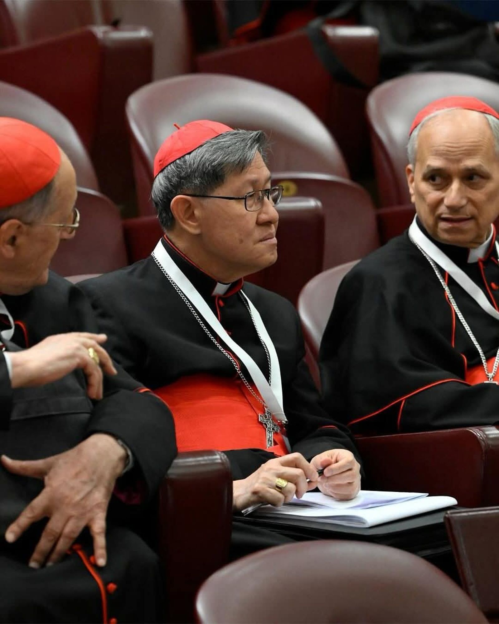 cardenales Tagle y Prevost