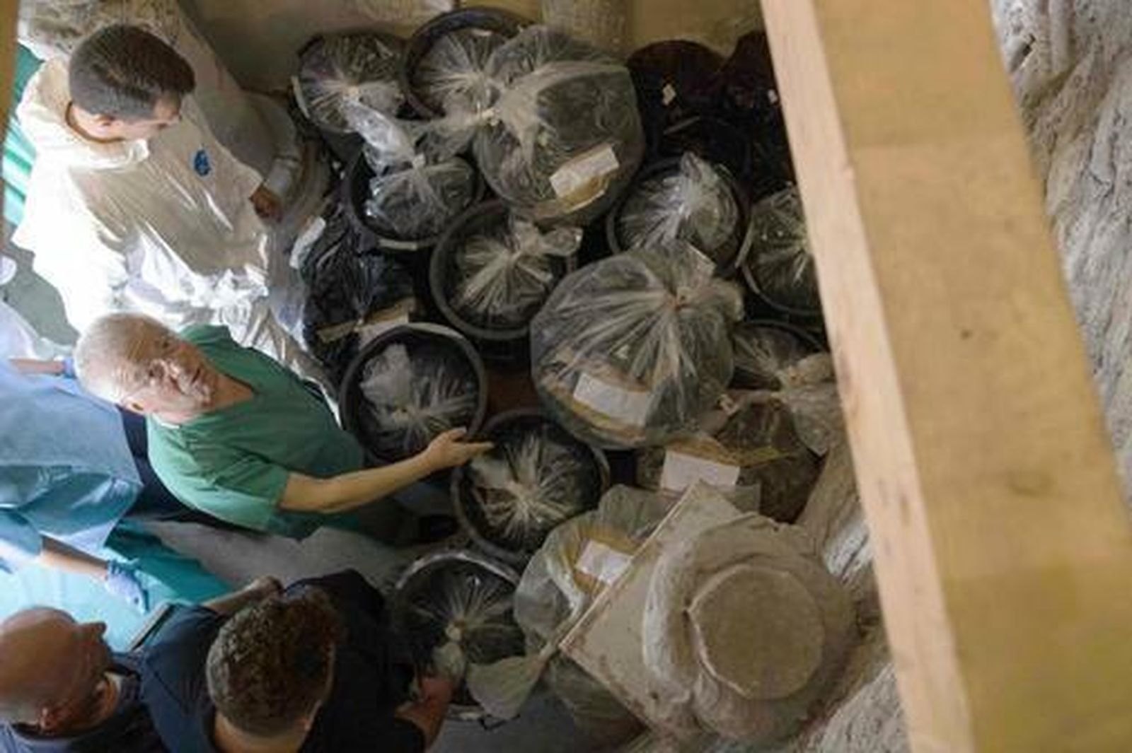 Los expertos analizando los huesos