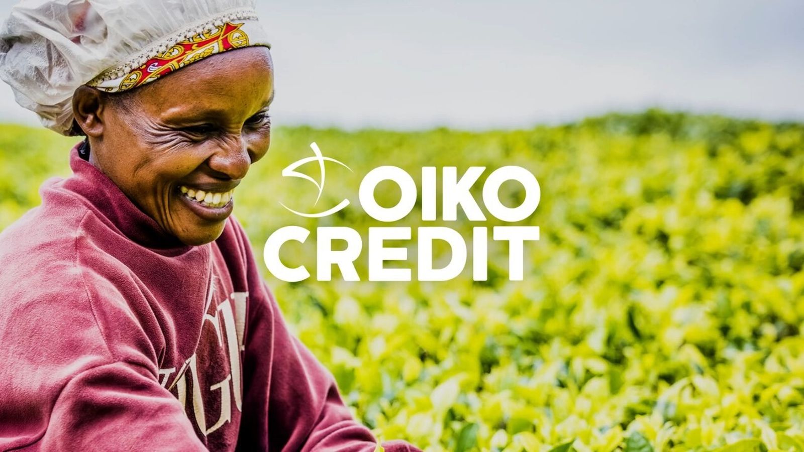 Oikocredit cumple 50 años