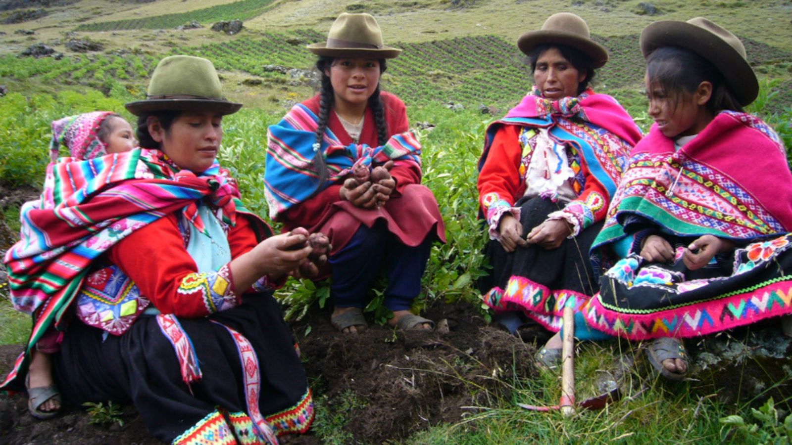 Indigenas Andinas