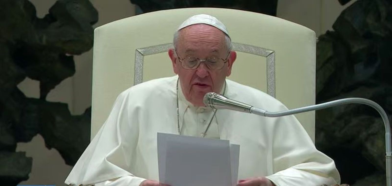 El papa, en la audiencia