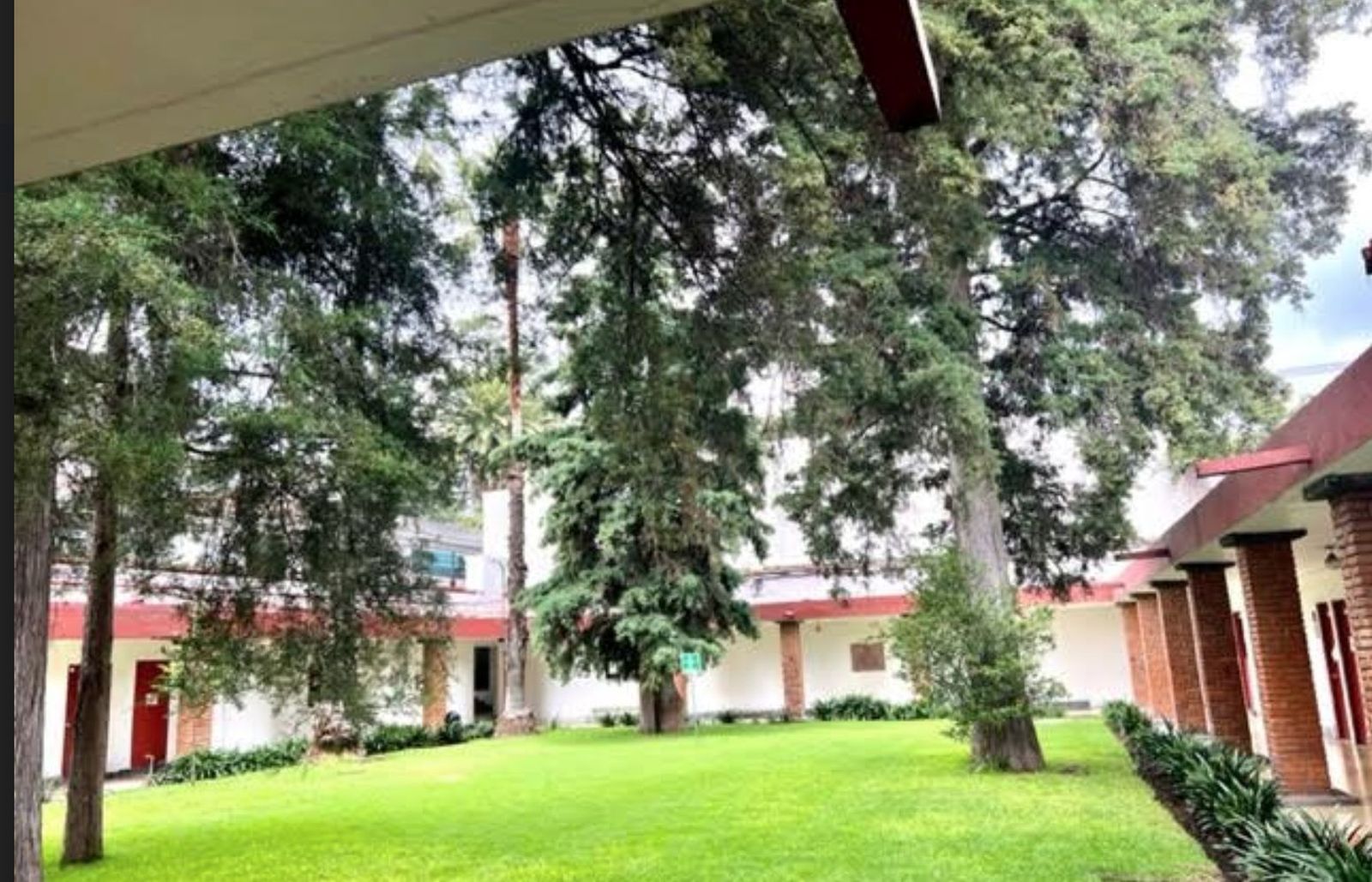 Pontificia de México