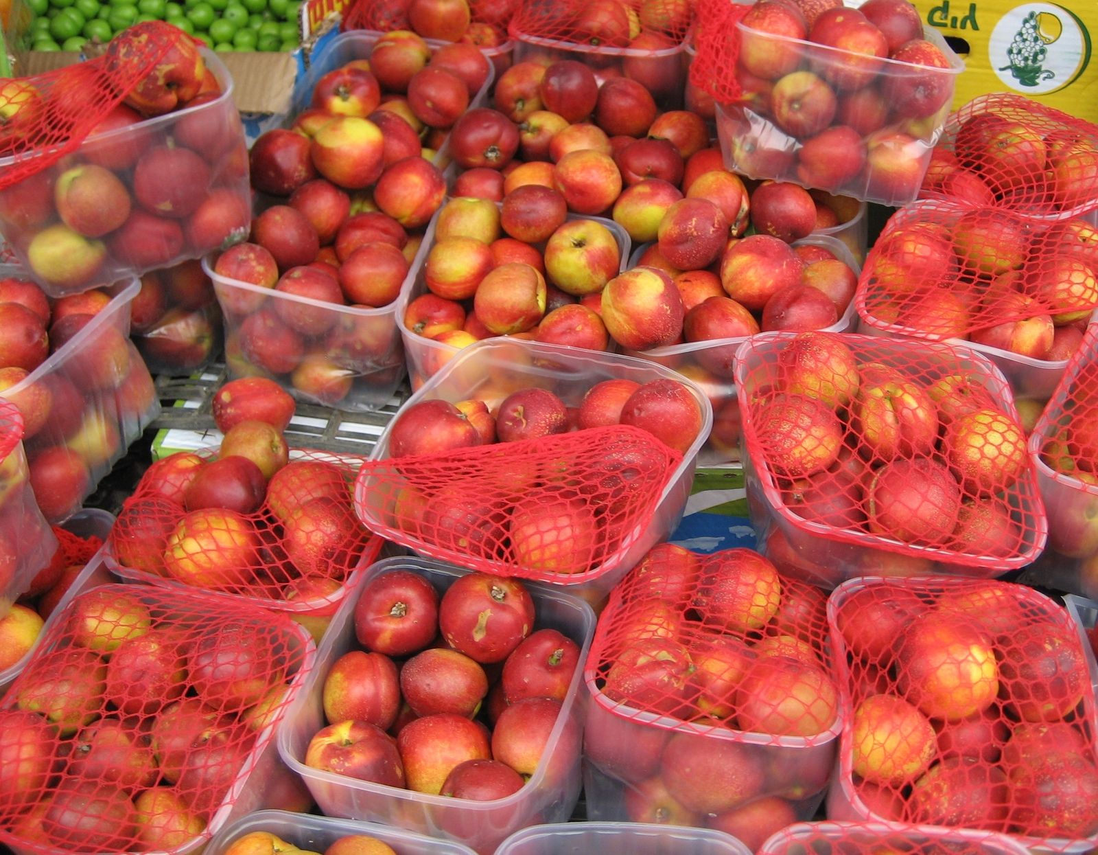 5 de julio, XIII Sábado TO