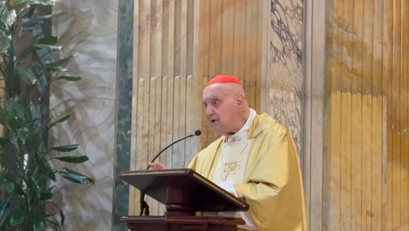 Cardenal Comastri: “El camino de la santidad coincide con el camino de la caridad”