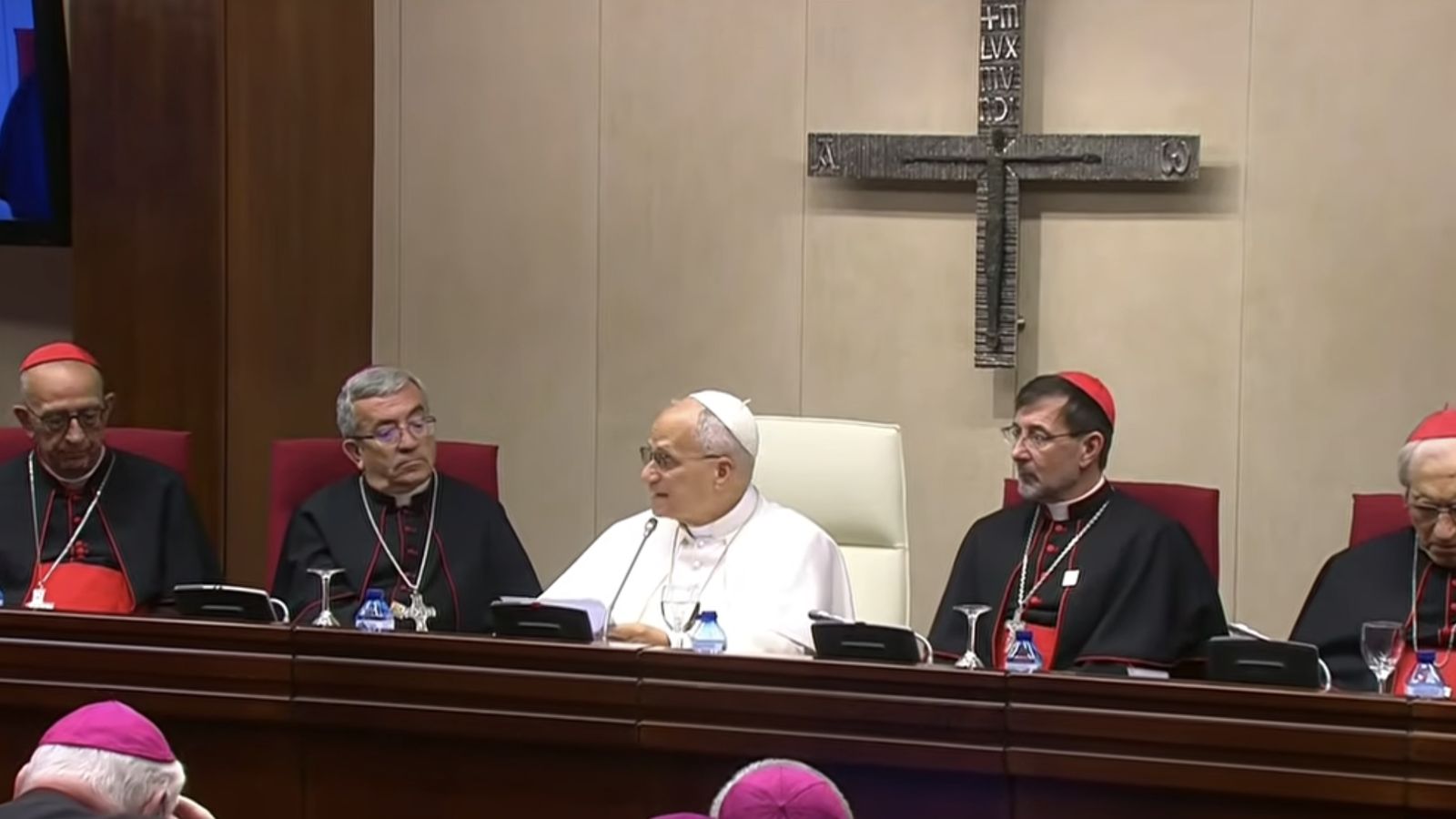 El Papa en la CEE