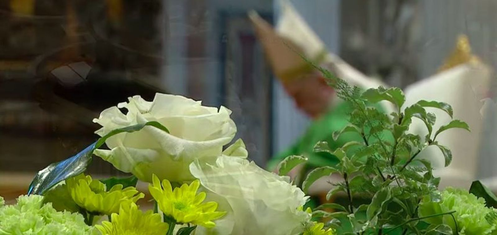 Francisco, en el Domingo de la Palabra