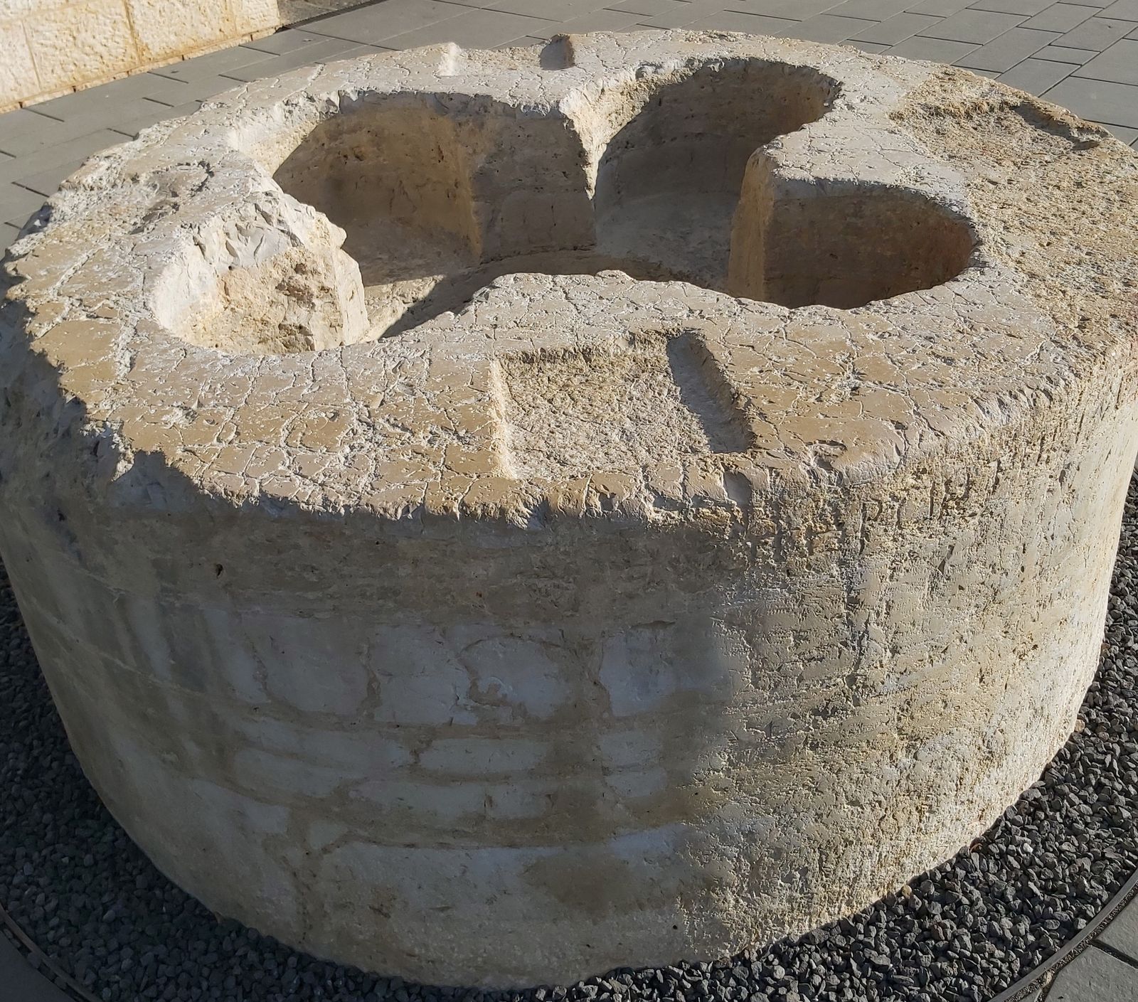 9 de enero: Profesión de fe