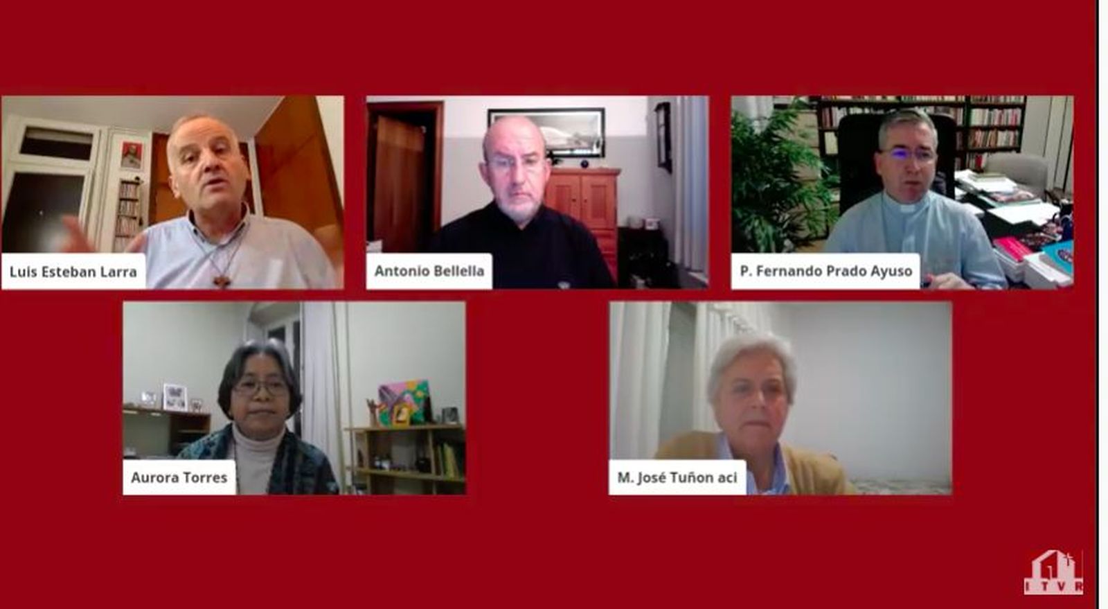 Participantes en el webinar organizado por el ITVR