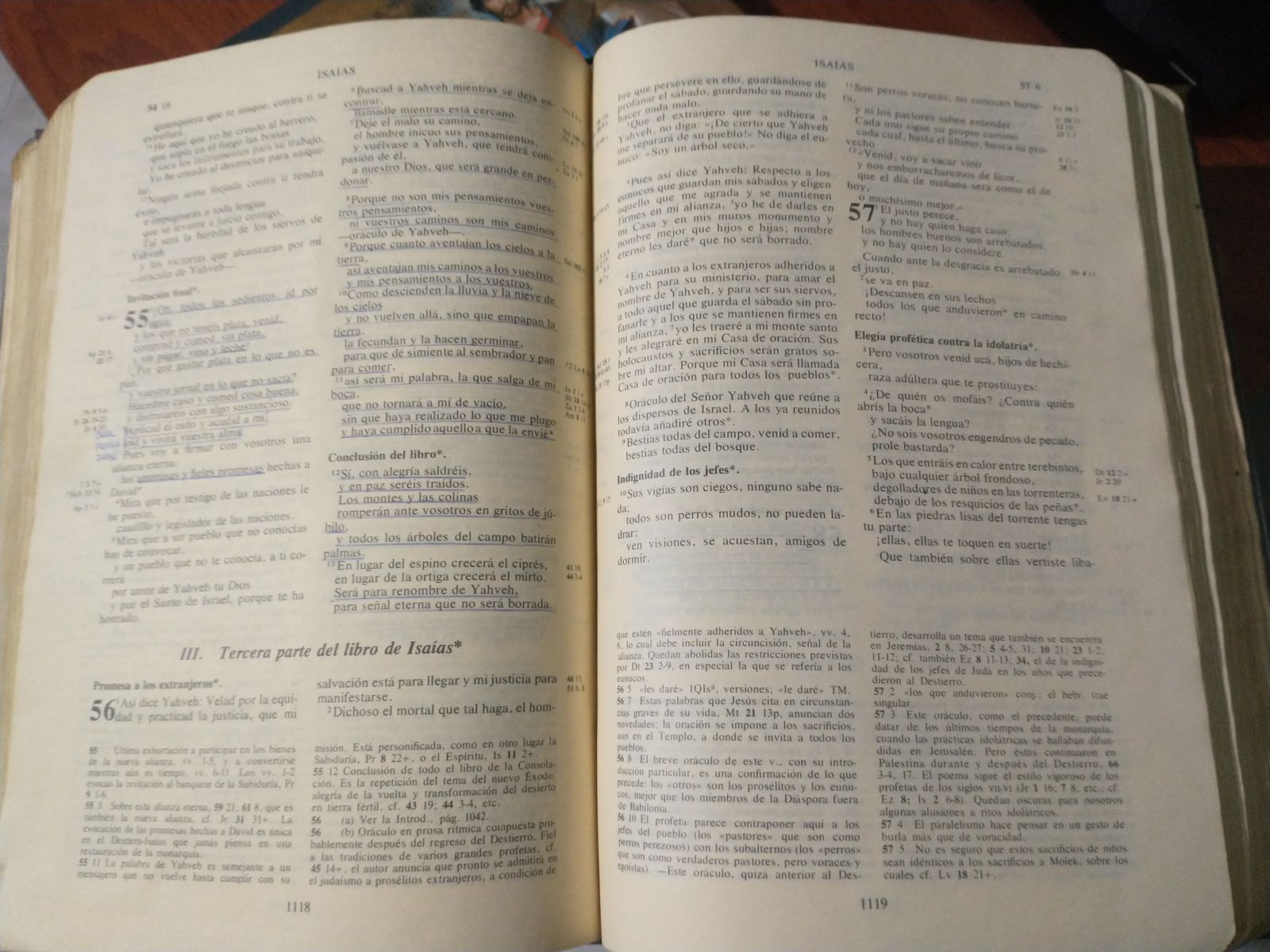 En el mes de la Biblia, redescubrirla como Palabra de Dios