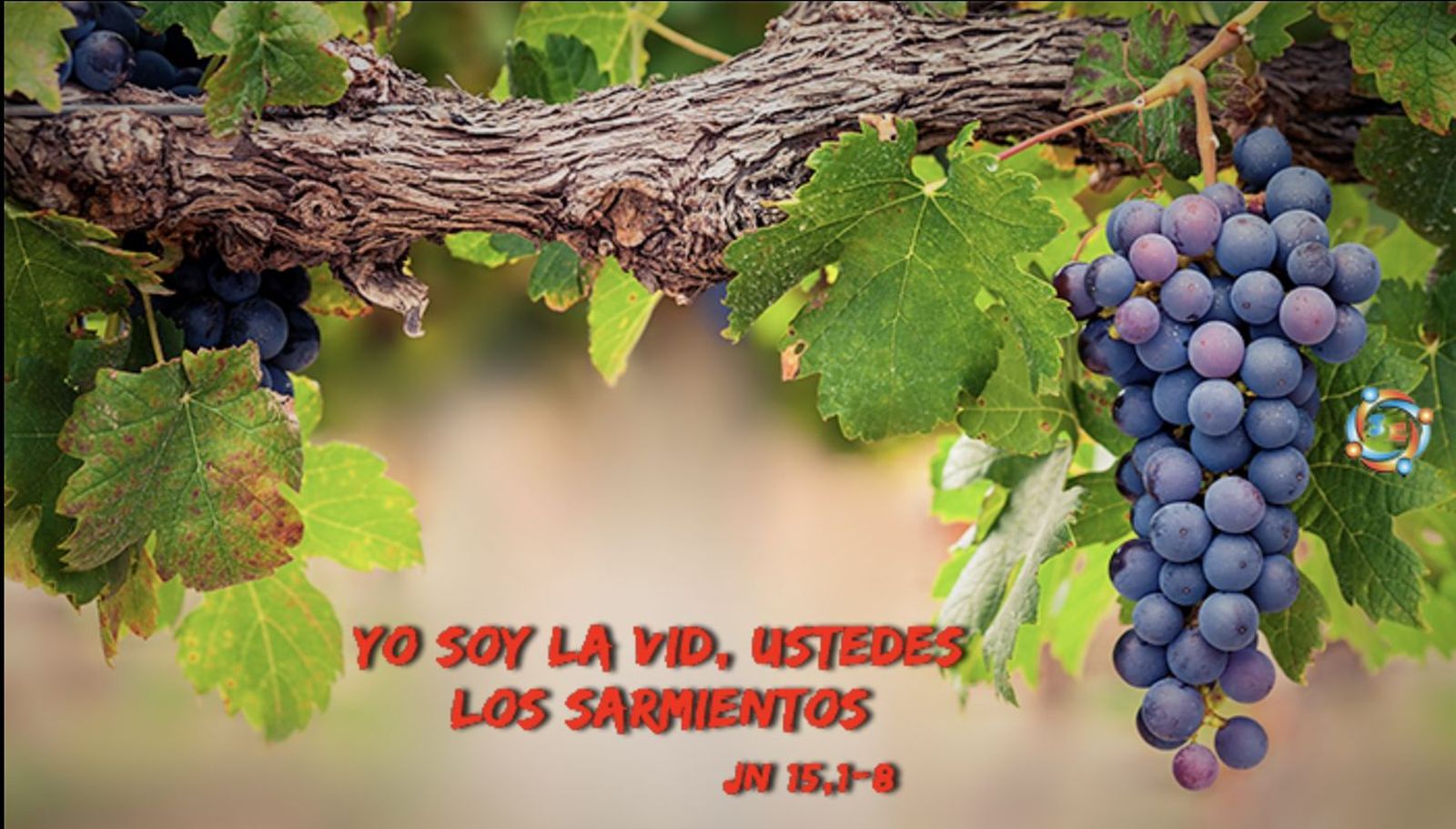 Yo soy la vid