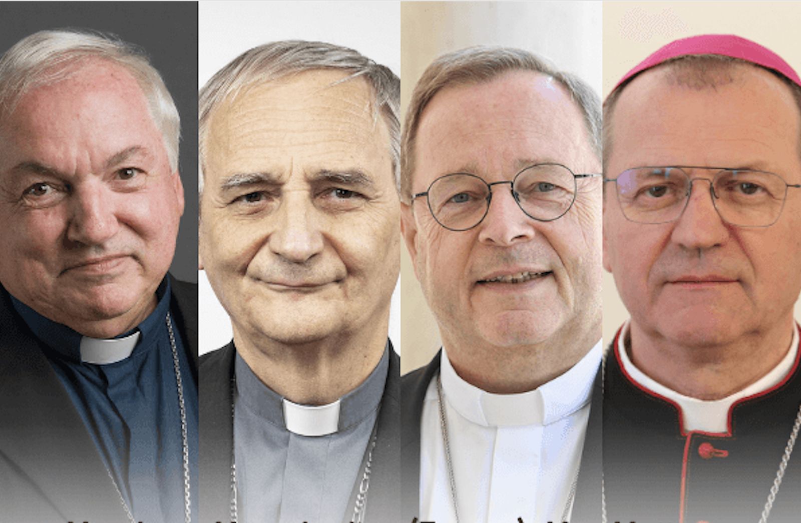 Aveline, Zuppi, Bätzing y Wojda