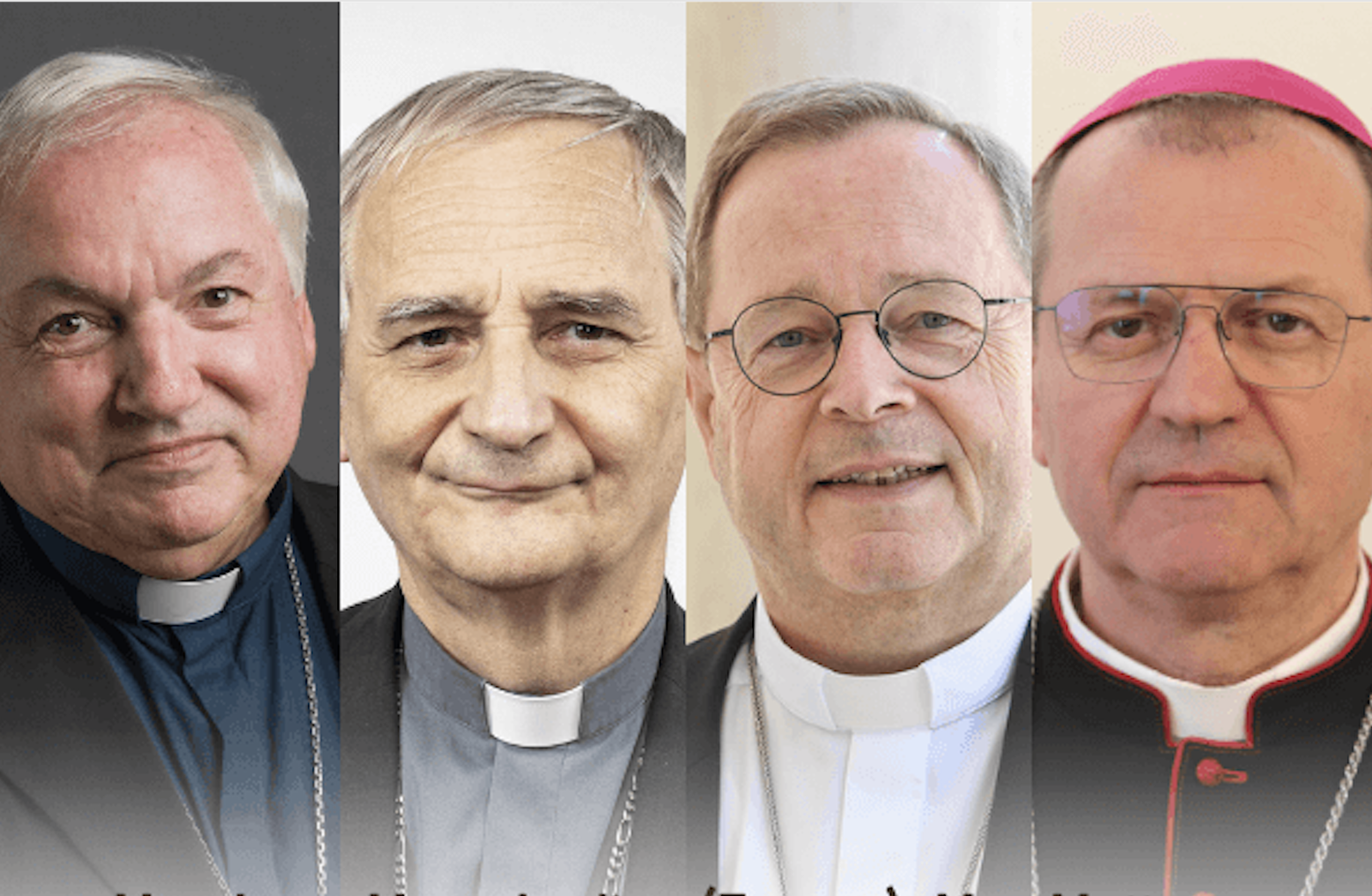 Aveline, Zuppi, Bätzing y Wojda