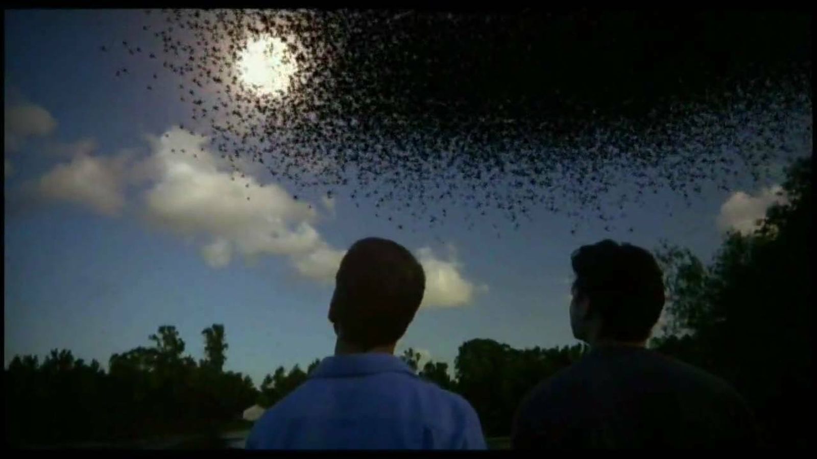 Cuidar la naturaleza