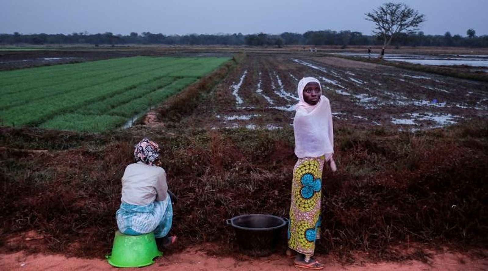 Derechos de los pueblos indígenas