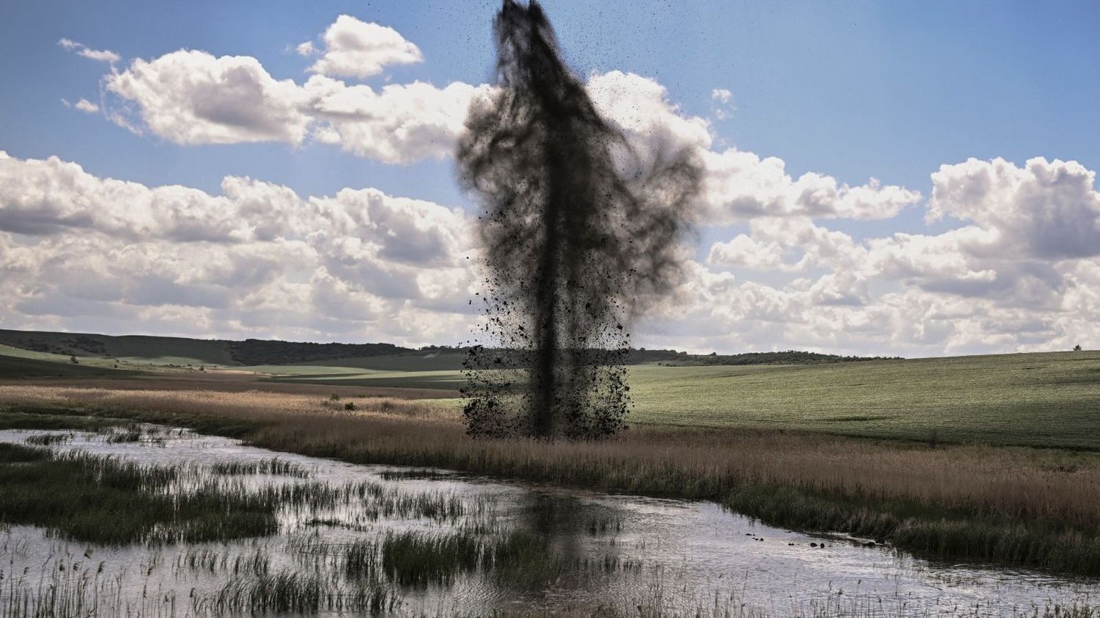 El medioambiente herido por la guerra