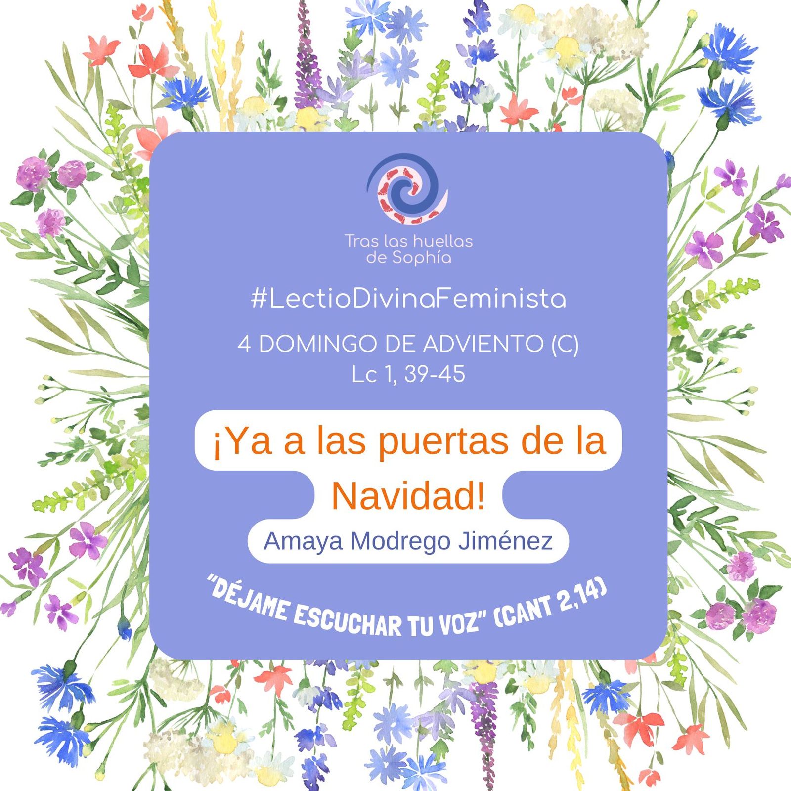 ¡Ya a las puertas de la Navidad!