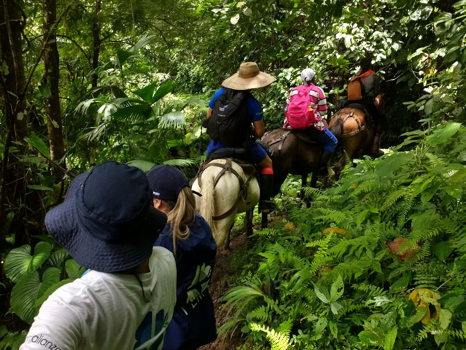 De camino a uno de los poblados embera bajo confinamiento