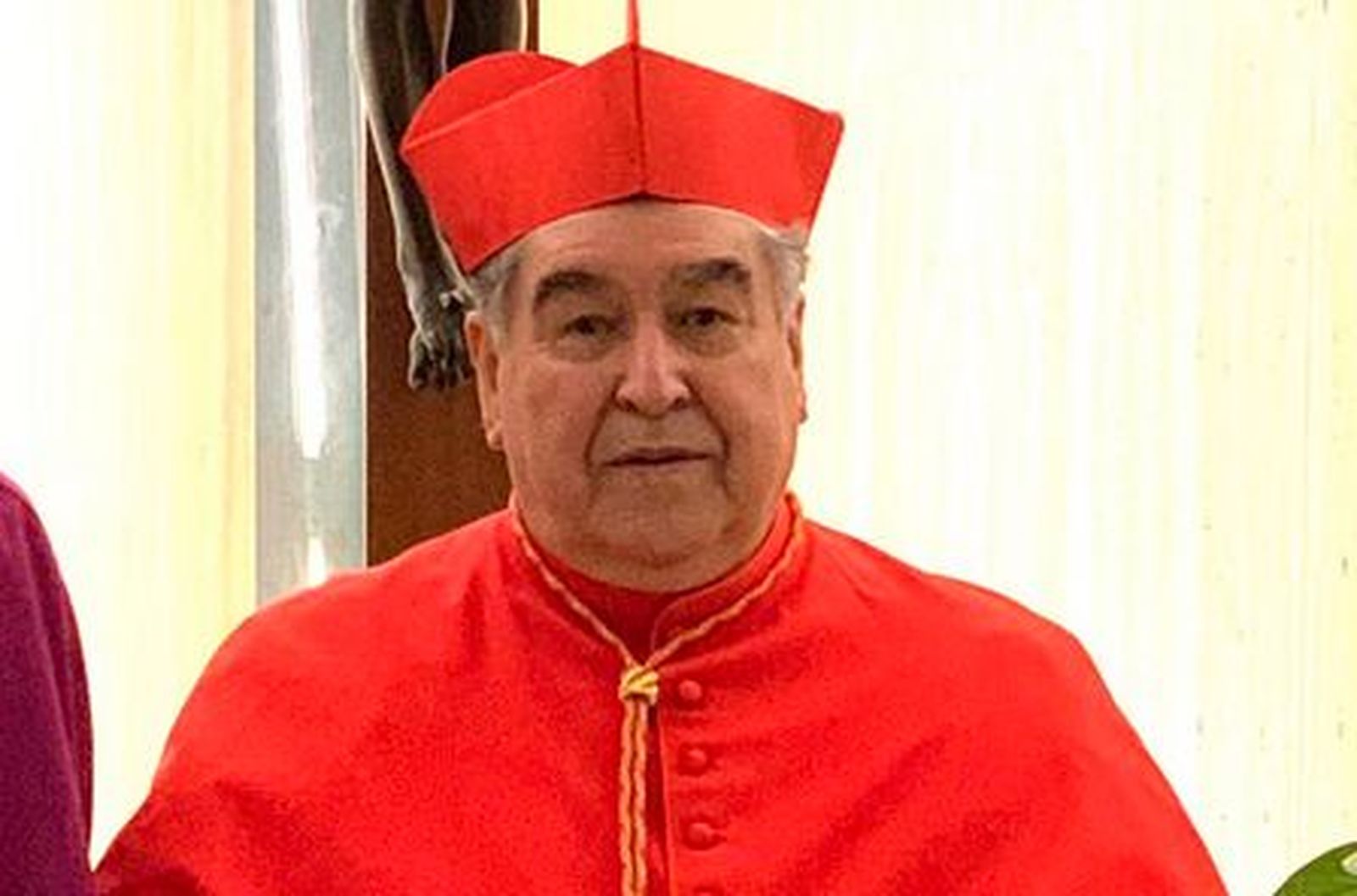 Cardenal Arizmendi