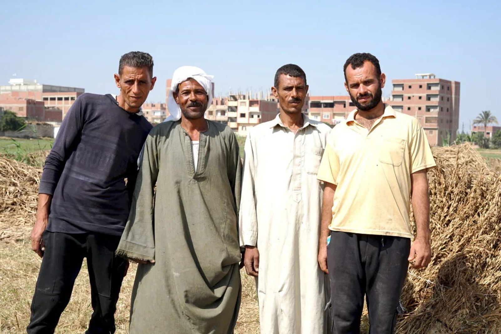 Cuatro agricultores de la región de Sharqeya, cerca de El Cairo, que venden sus productos orgánicos a SEKEM, contribuyendo a una creciente red de pequeños agricultores comprometidos con la agricultura sostenibl
