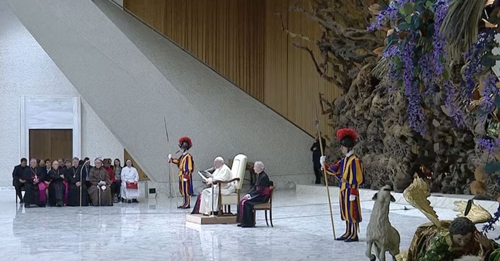 El Papa, en la audiencia
