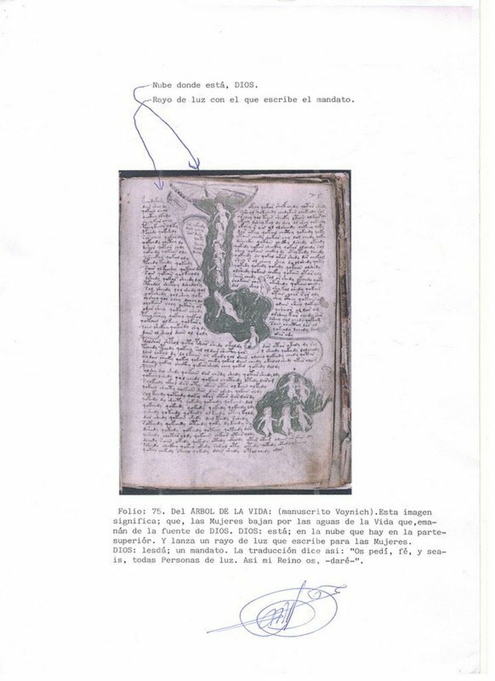 Voynich arbol de la vida