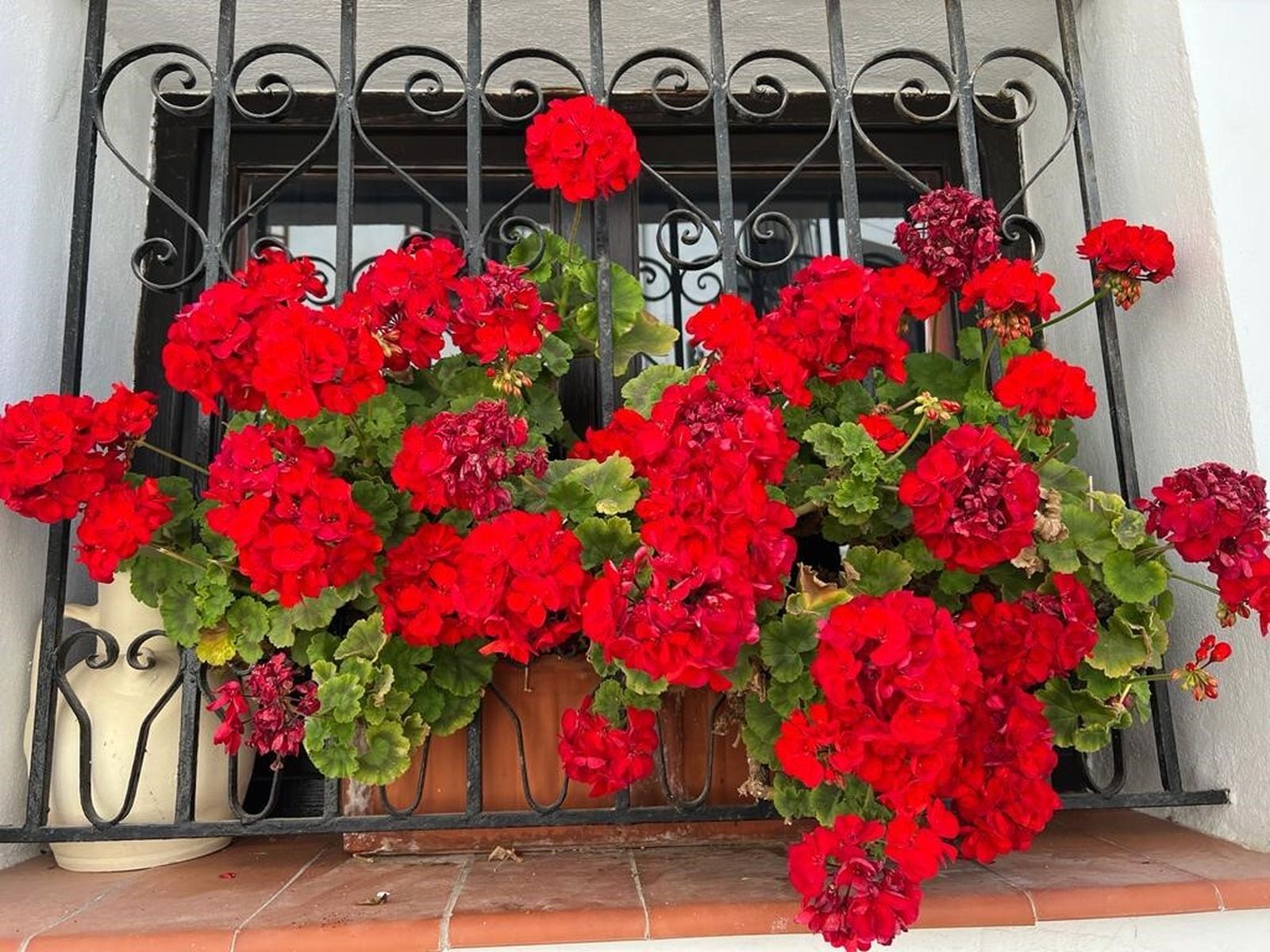 6 de Noviembre: Año de oración