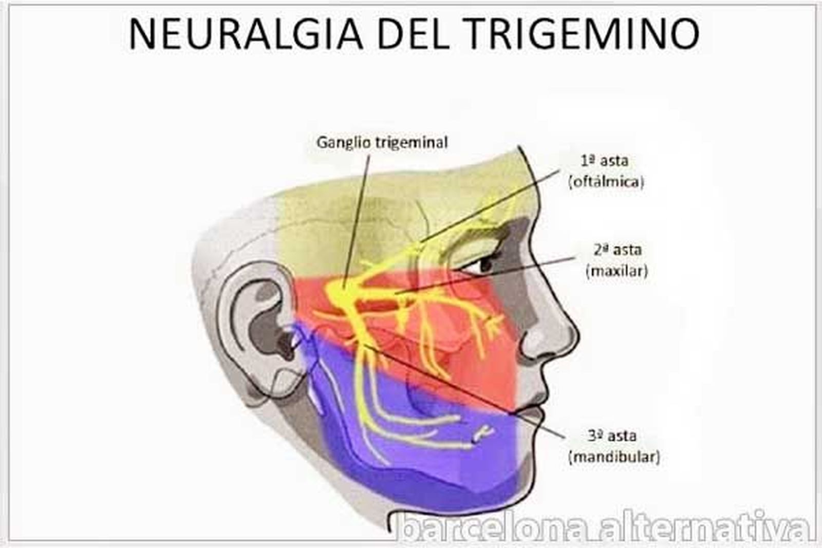 bc6ba8ddecaac80a6d3f25542a2b53fe