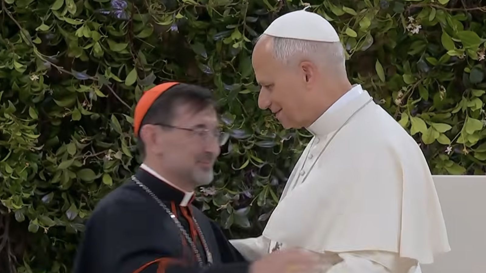 El Papa y el cardenal Cobo