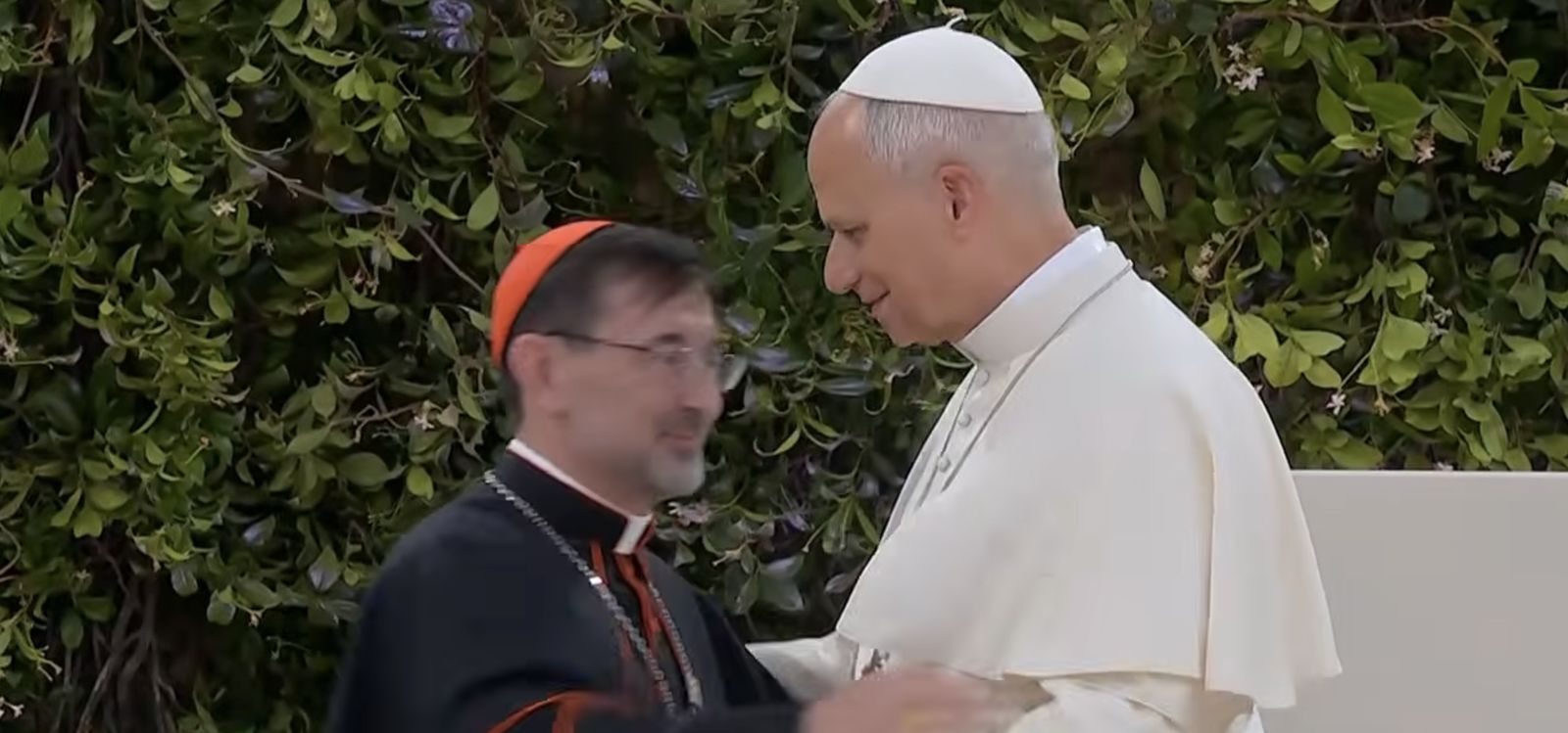 El Papa y el cardenal Cobo