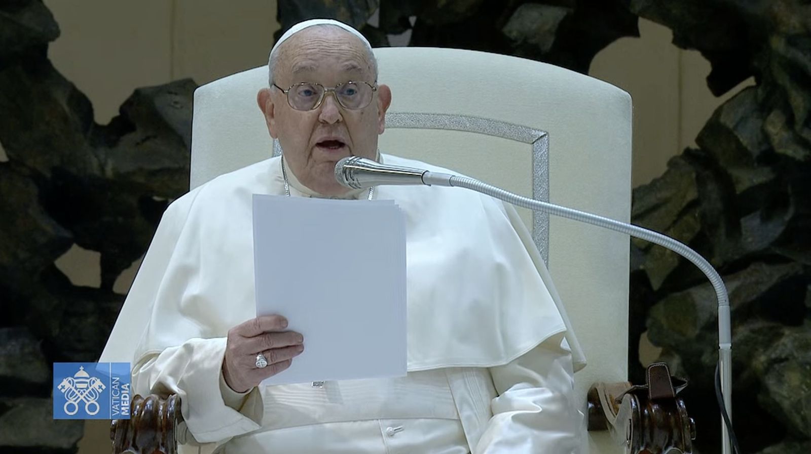 Francisco, durante la audiencia general