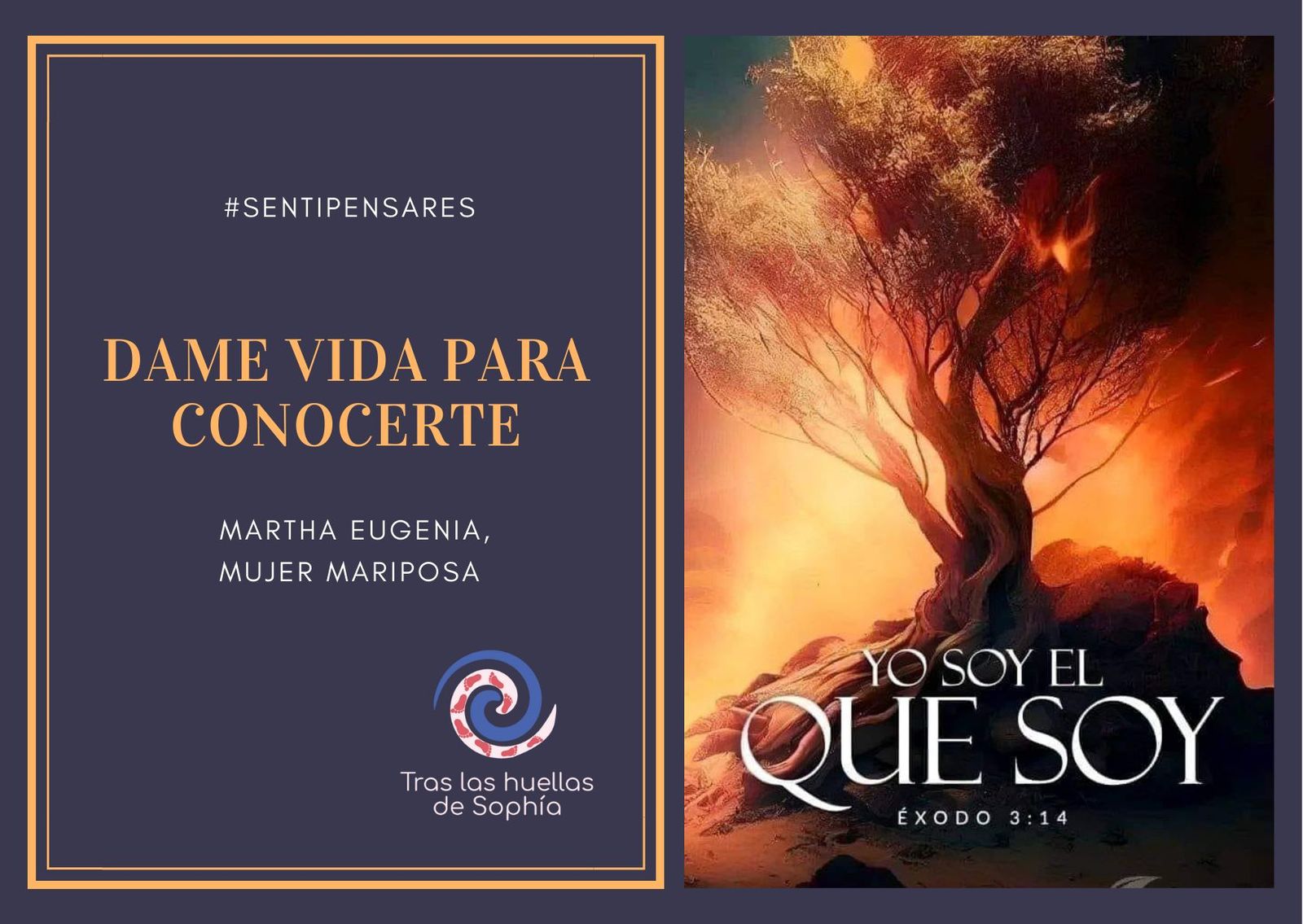 DAME VIDA PARA CONOCERTE