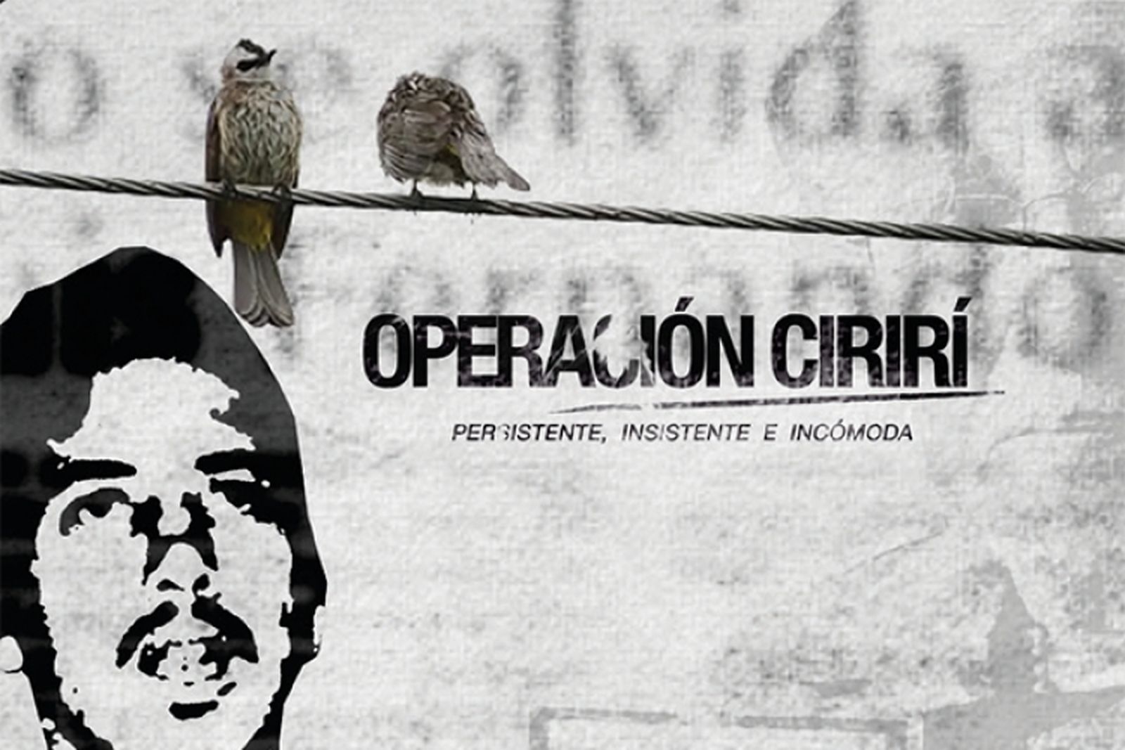 "Operación cirirí: persistente, insistente e incómoda "