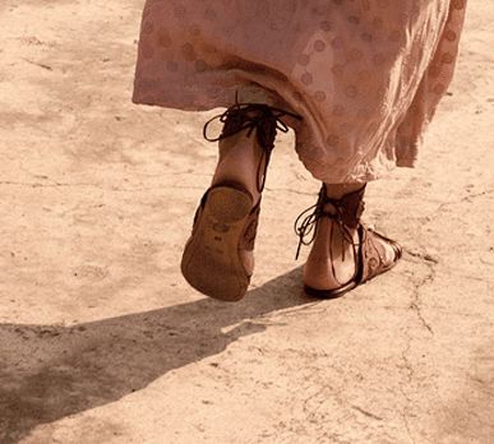 Seguir a Jesús realizando la obra encomendada