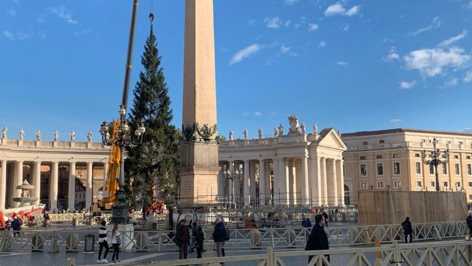 Instalación del árbol en la plaza de San Pedro