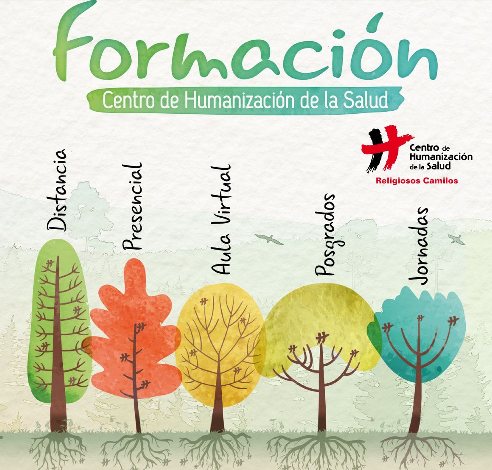 Formación