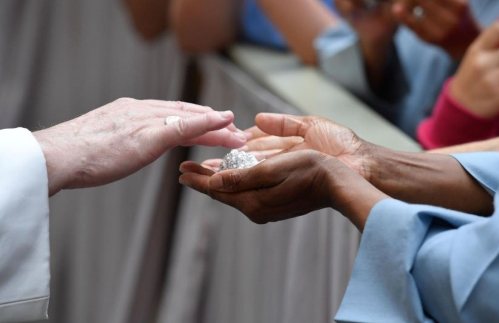 El Papa, en la audiencia