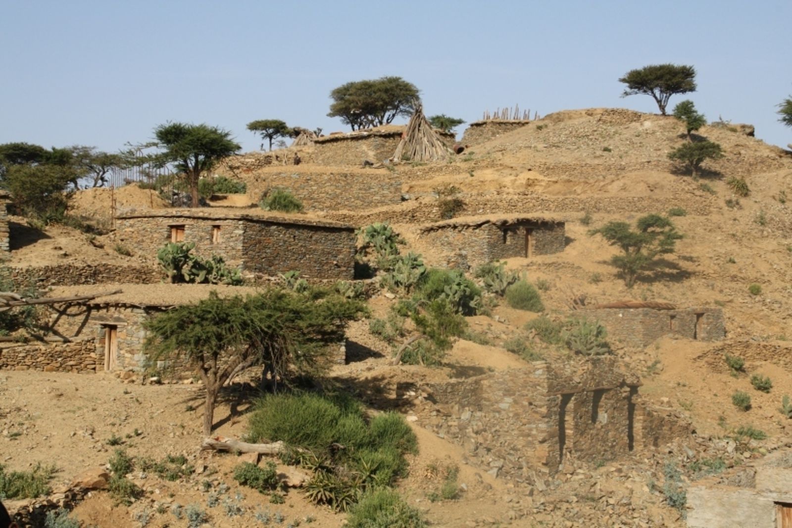 Guerra en el Tigray (Etiopía): 7,4 millones de personas en grave situación humanitaria