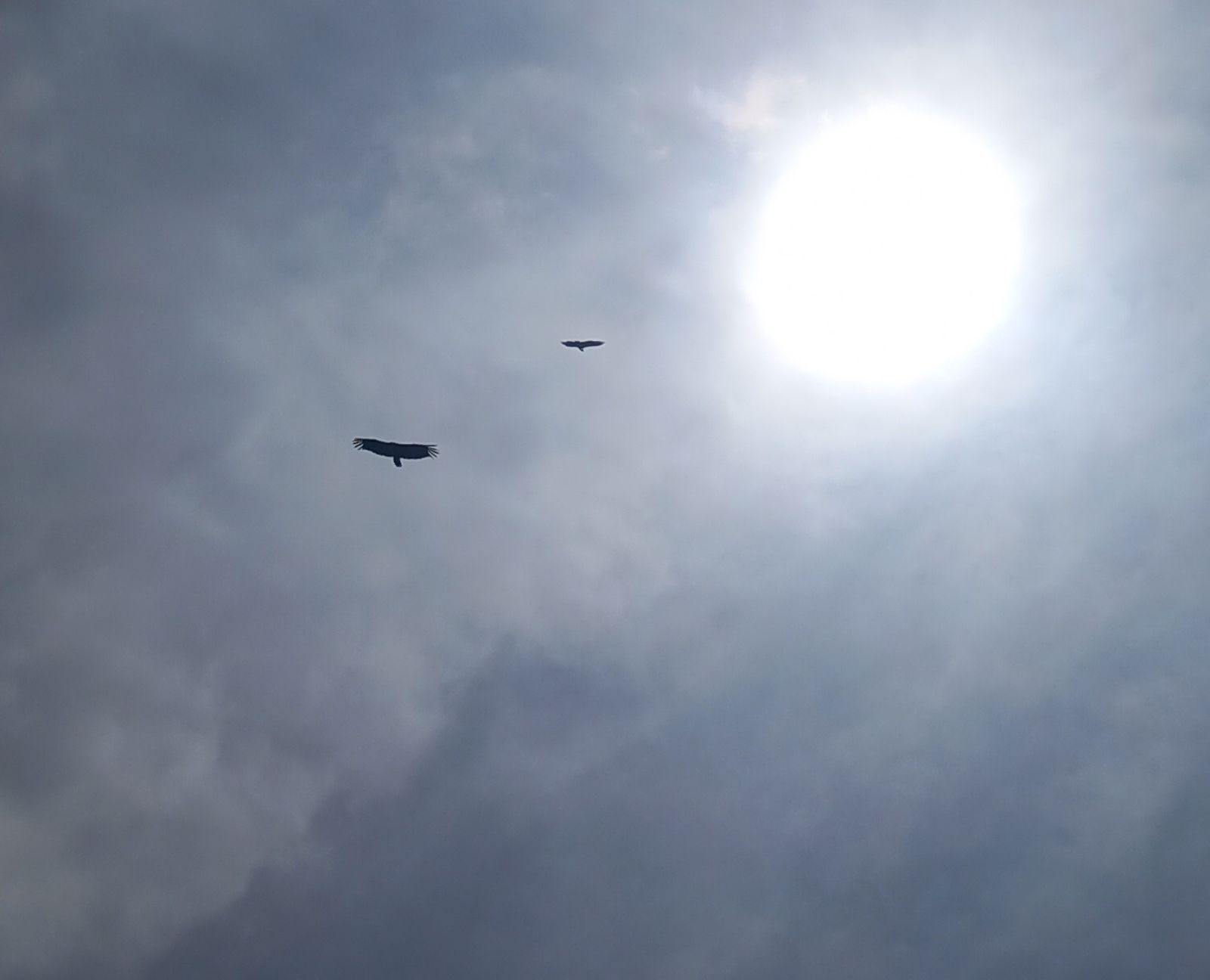 43 VII Domingo de Pascua: La Ascensión del Señor