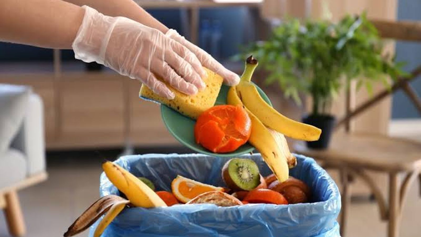 Desperdicio de alimentos