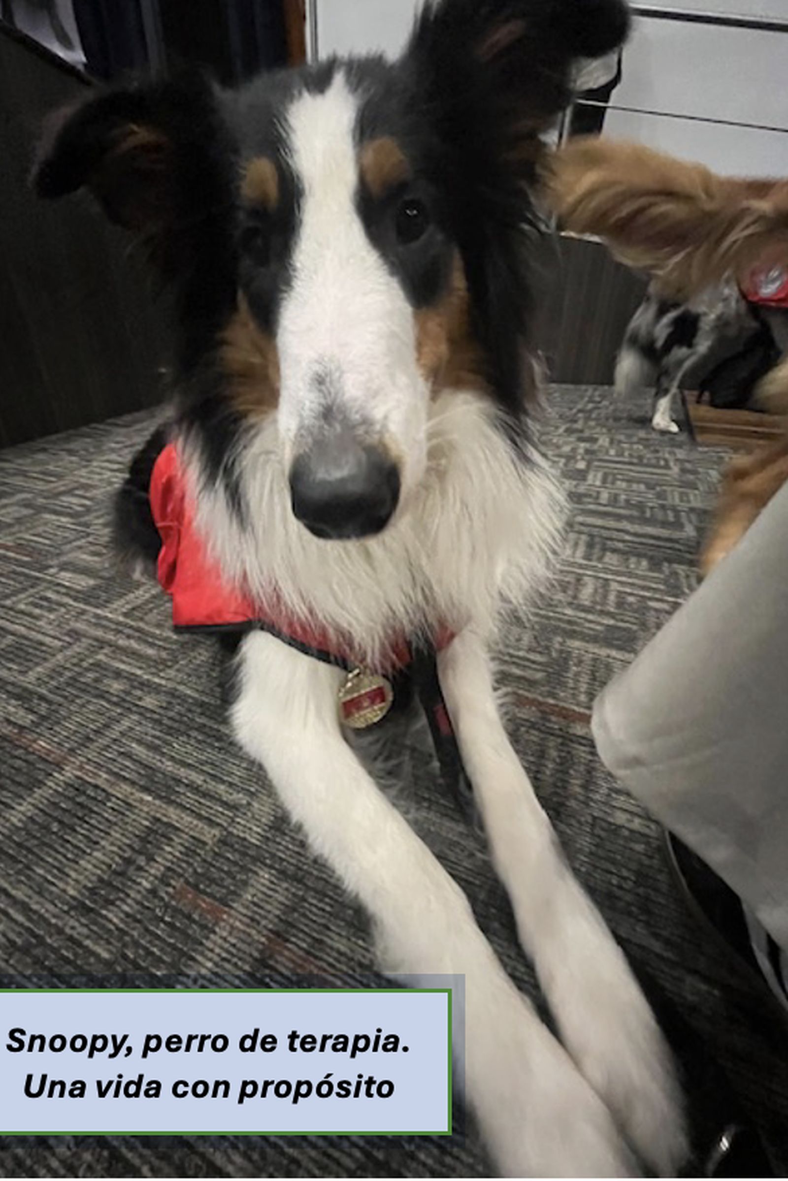 Captura de pantalla 2026-04-09 a la(s) 10.18.48 a.m.