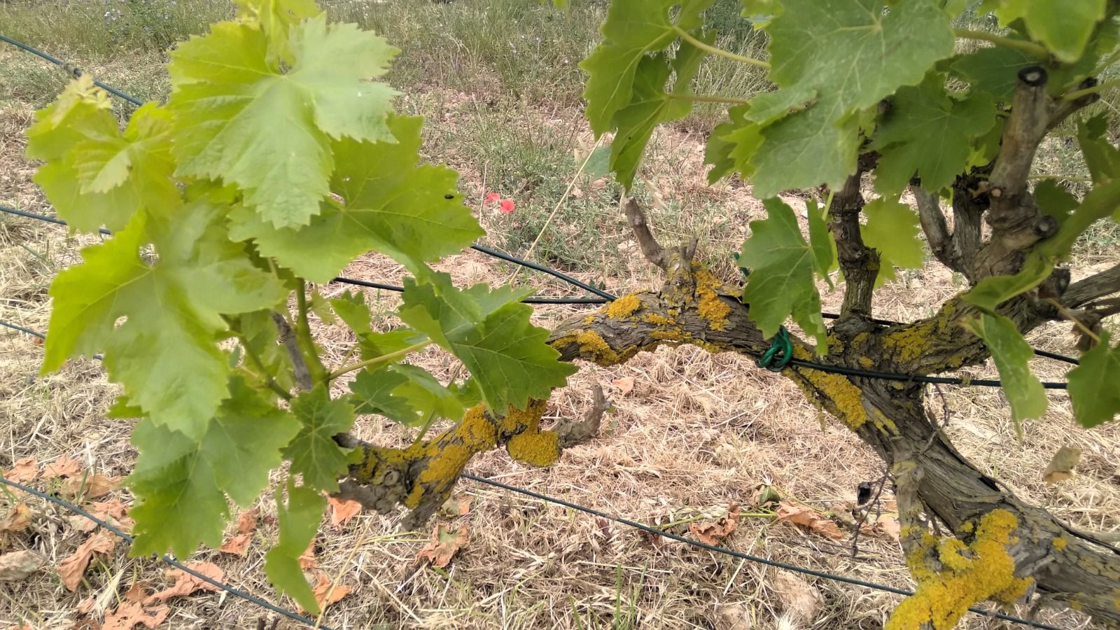 PHOTO-2024-05-01-10-04-16