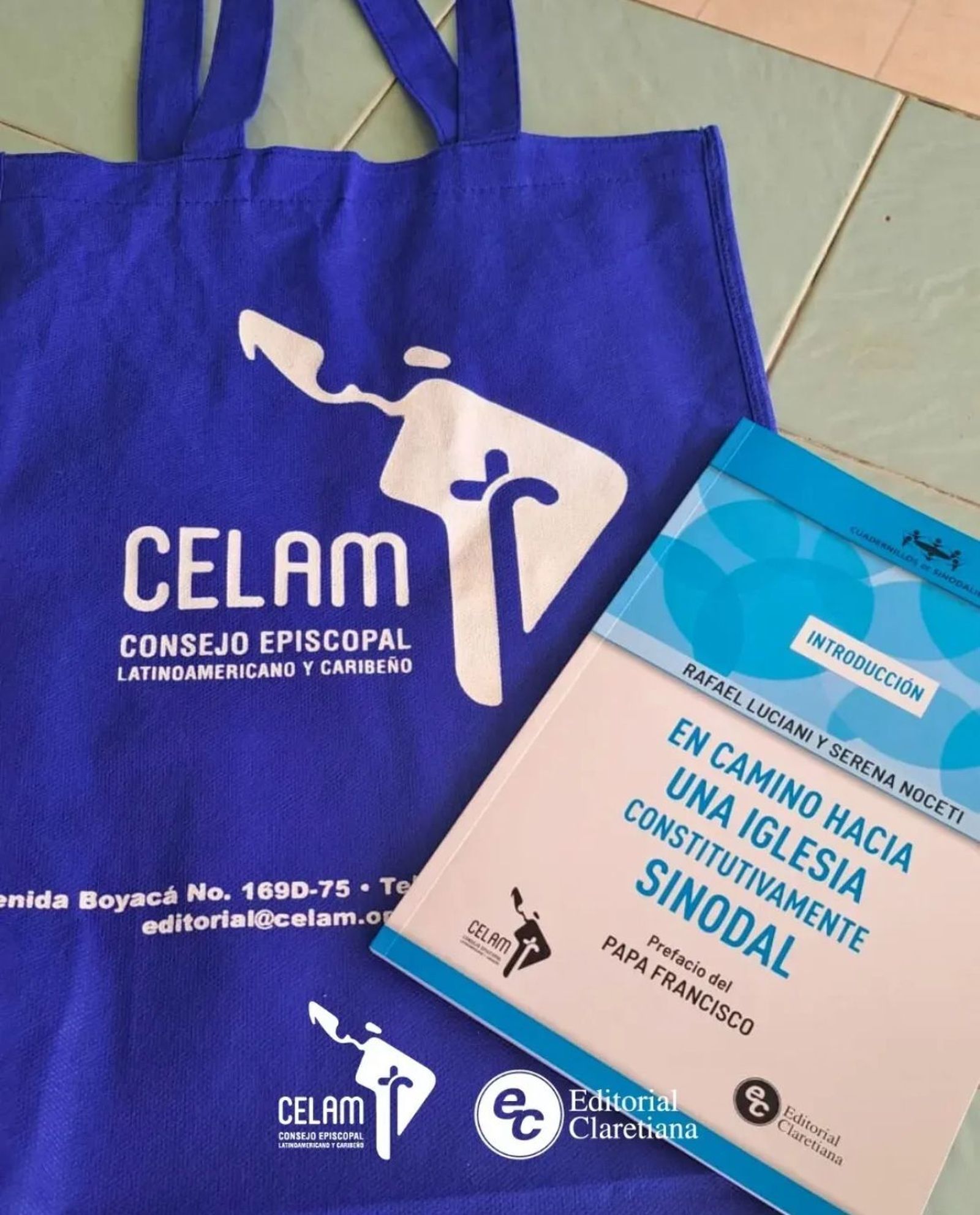 Libro de la sinodalidad