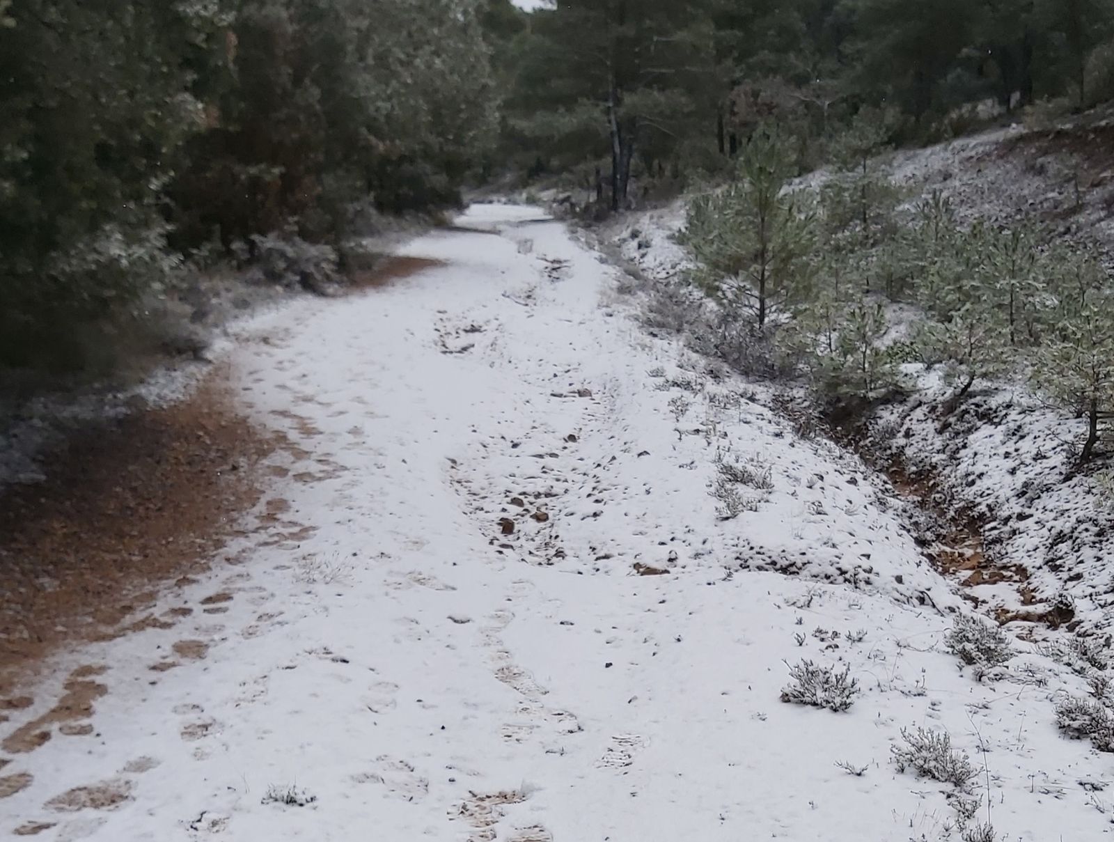 28ª Etapa - IV Martes de Cuaresma