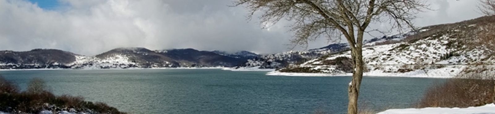 bach-mednikoff-fuga-BWV573