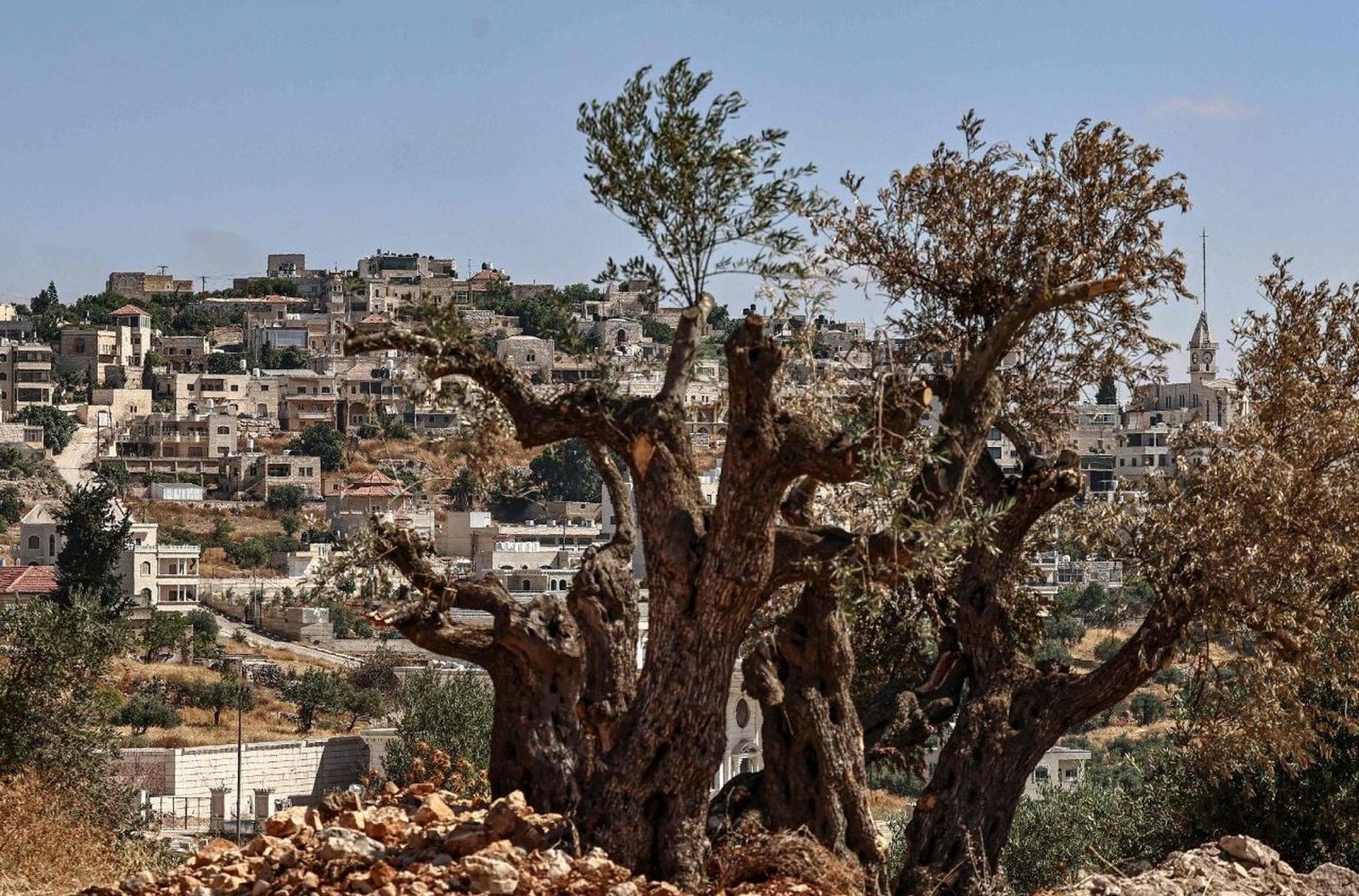 Taybeh, norte de Ramala, Cisjordania. Vista general en junio de 2026