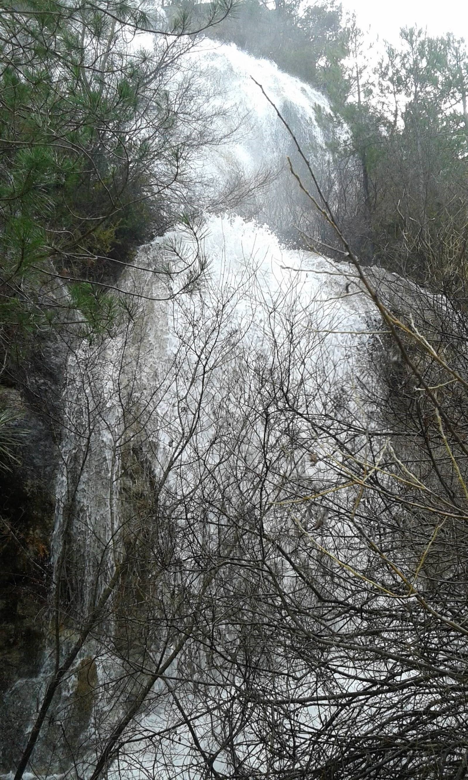 II Jueves de Cuaresma